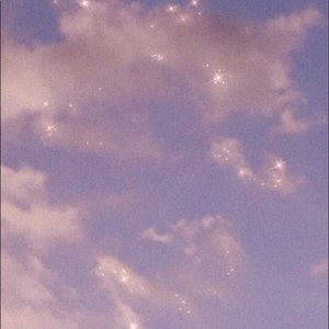 Meet your Posher, Dani